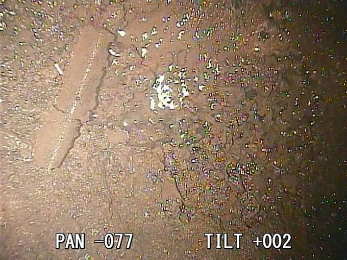 Tokyo Electric Power Co (TEPCO) inserted a special camera into one of the plants three melted-down reactors. Photo by AFP
