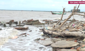 That sinking feeling again: Erosion exacts more toll in Vietnam’s Mekong Delta