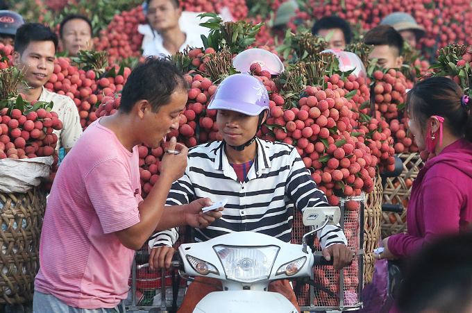 A Chinese trader is using body language to communicate and negotiate price. Locals said that Chinese fruit traders are their biggest buyer.