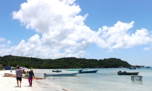 Vietnam parliament not to discuss SEZ bill in October session