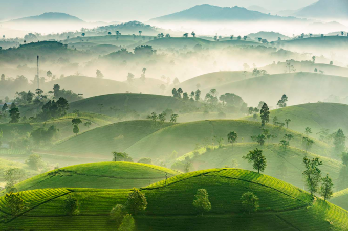 Stuff of dreams: stunning vistas of Long Coc tea hills - VnExpress International