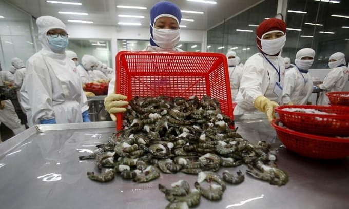 Shrimp exports unscathed by global pandemic