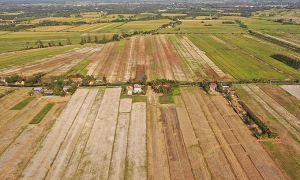 Province to build largest reservoir in Mekong Delta to cope with droughts, salinity