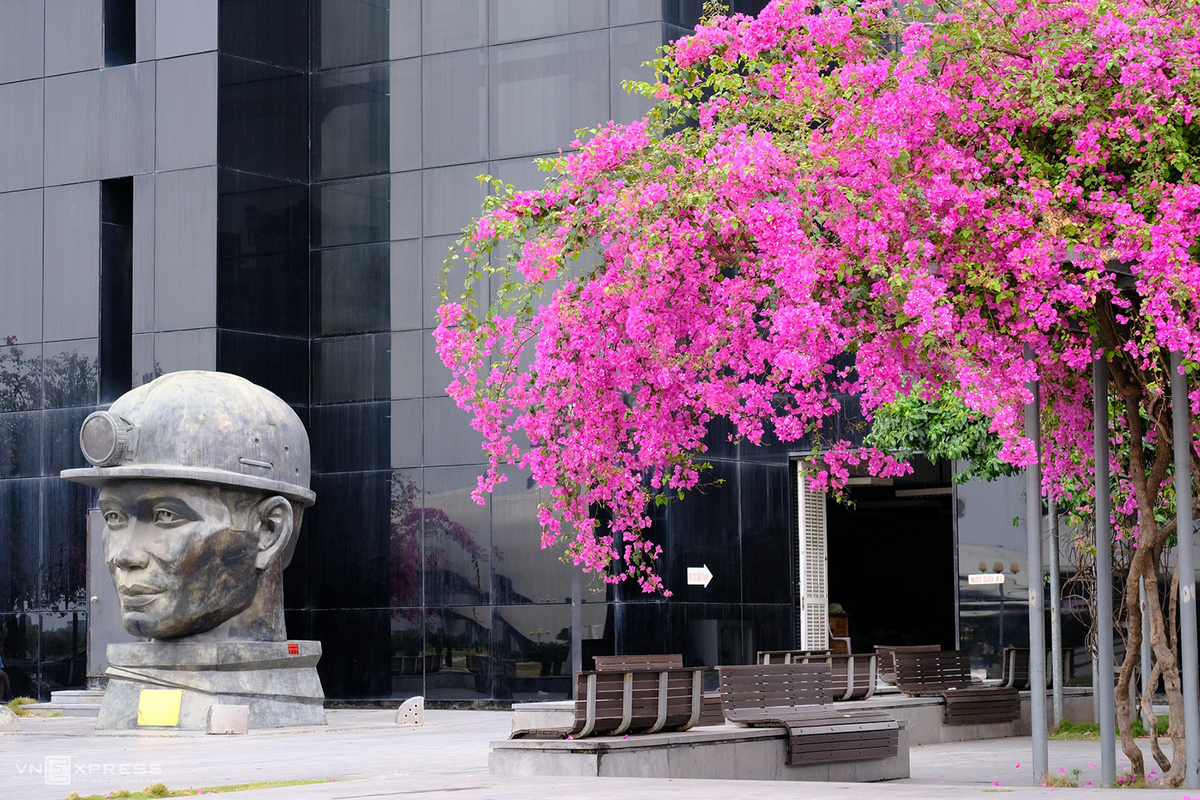 Ha Long gets marked by architectural, natural highlights