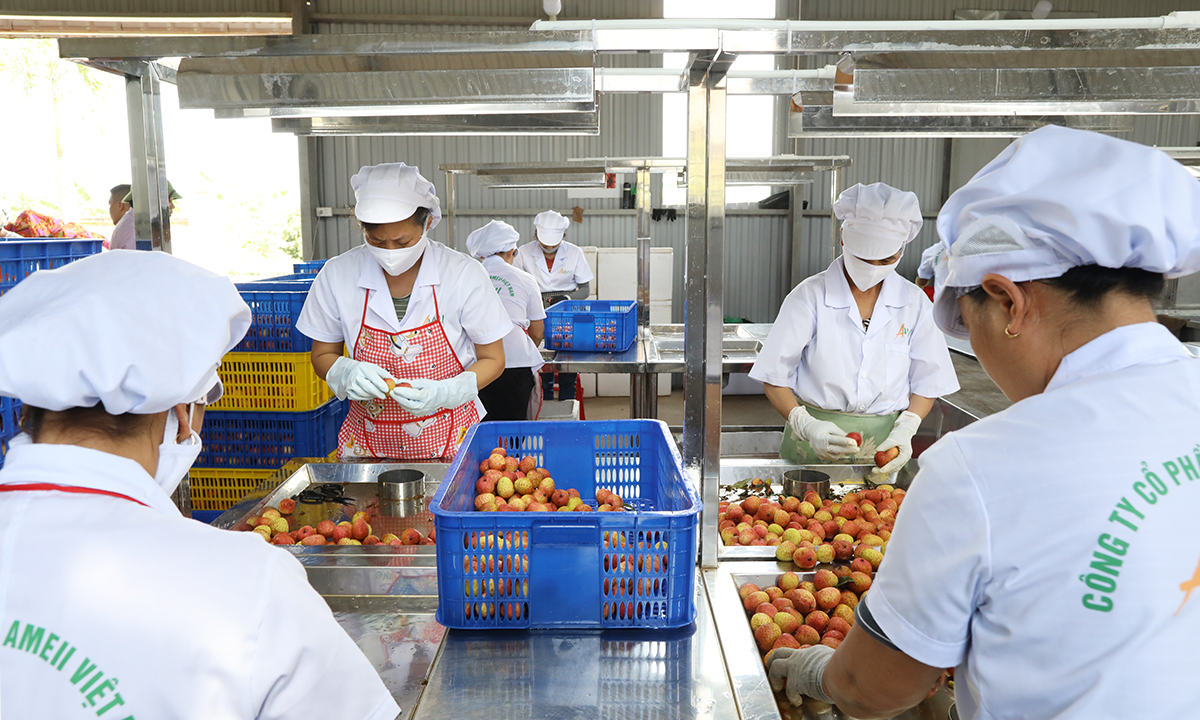 Doors open wider for Vietnam exports to the US - VnExpress International - Vimarsana News