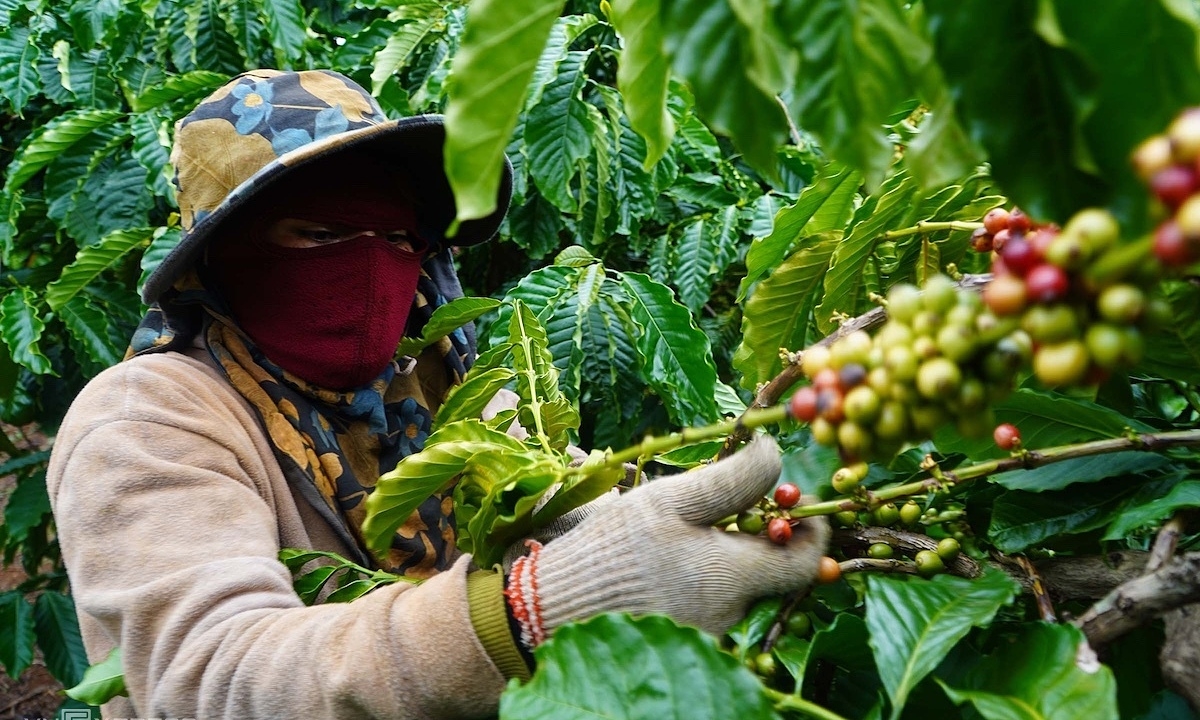 Las exportaciones de Vietnam a Rusia se ven obstaculizadas por las sanciones occidentales